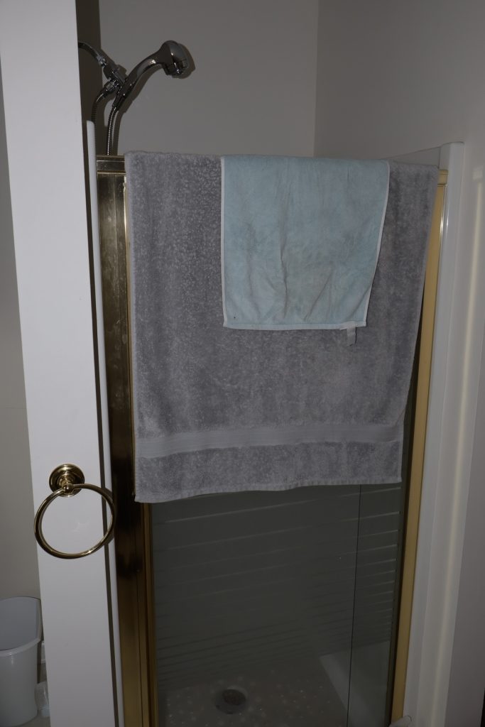 Before Bathroom Remodeler with small shower